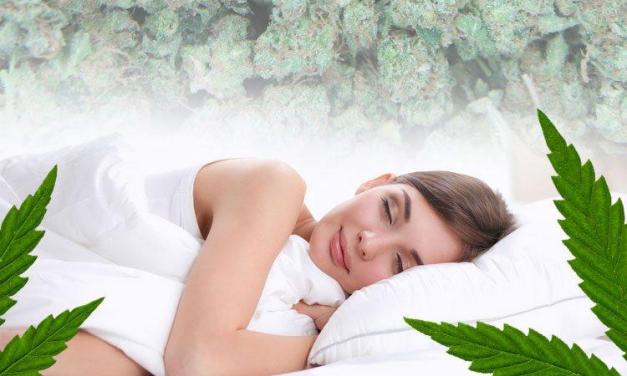 sleepmmj