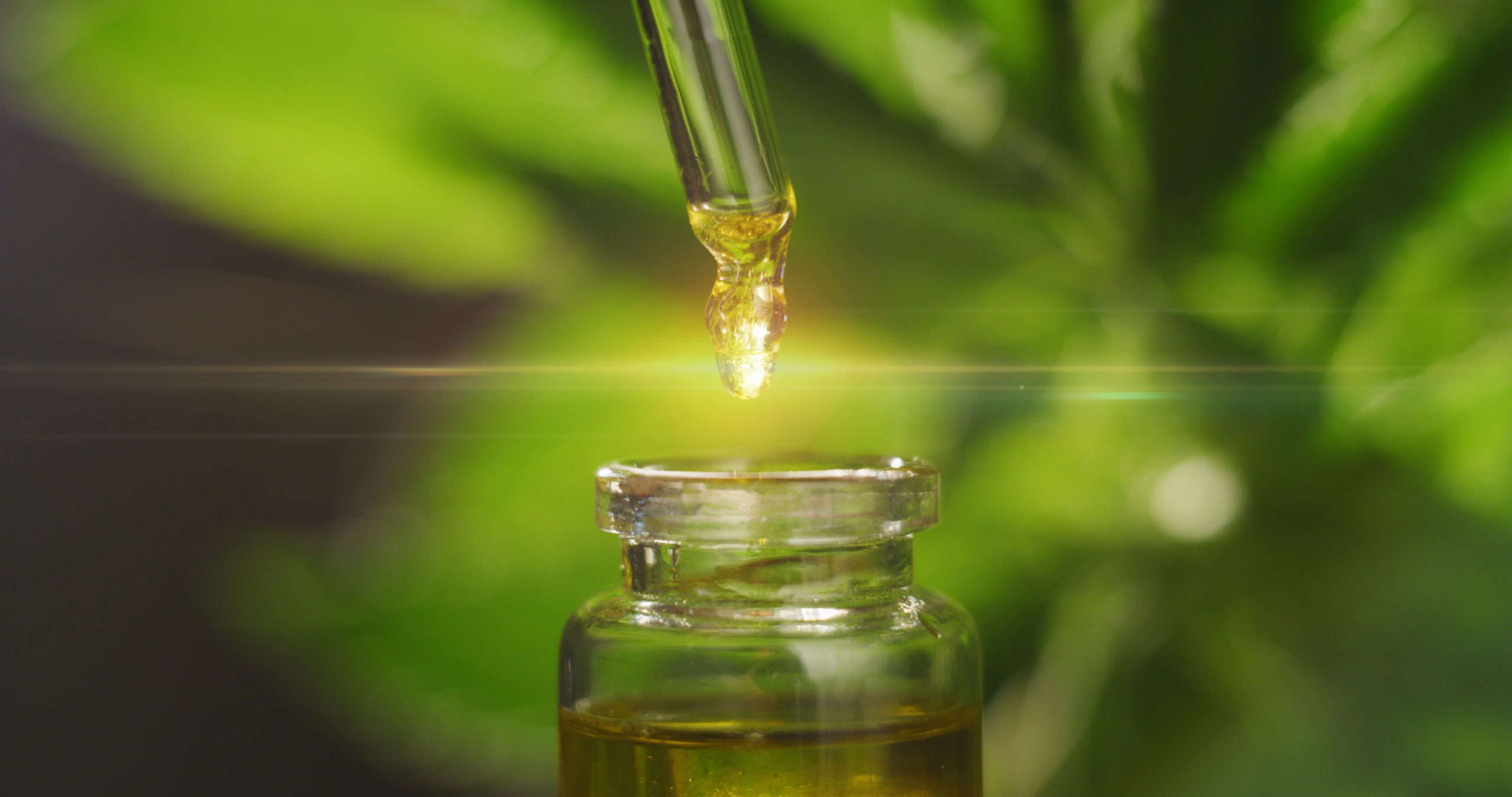 how does cbd work in the body