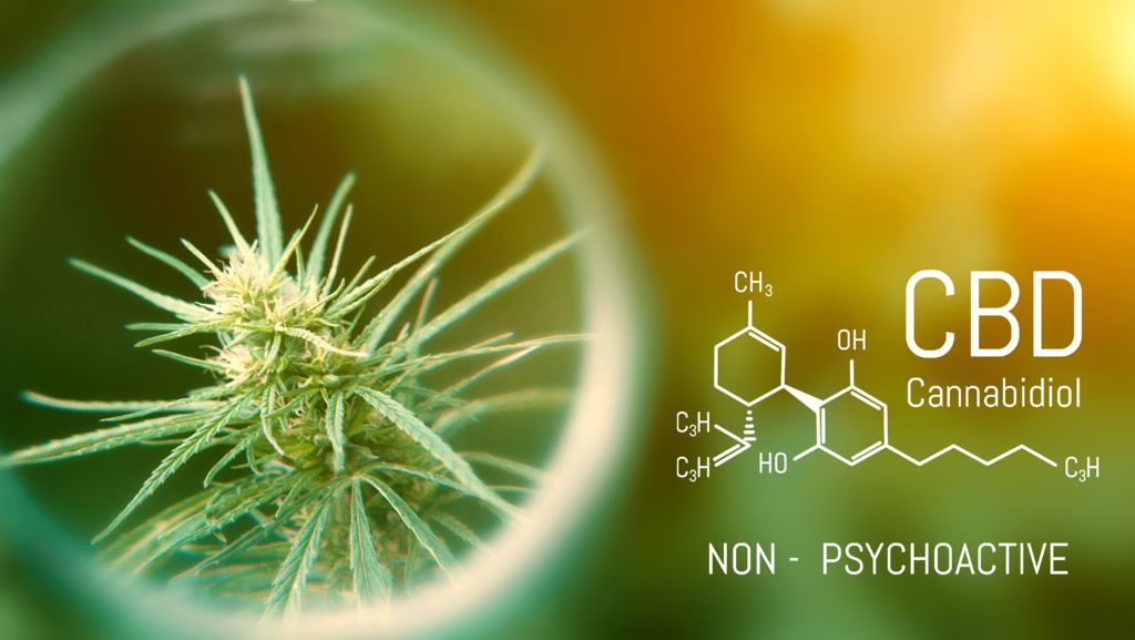 Is CBD bad for your health?