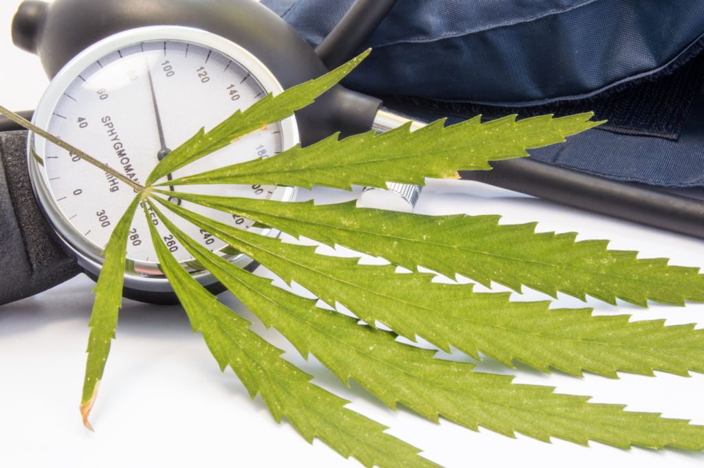 Cannabis,Or,Marijuana,And,Blood,Pressure.,Green,Cannabis,Leaf,Lies