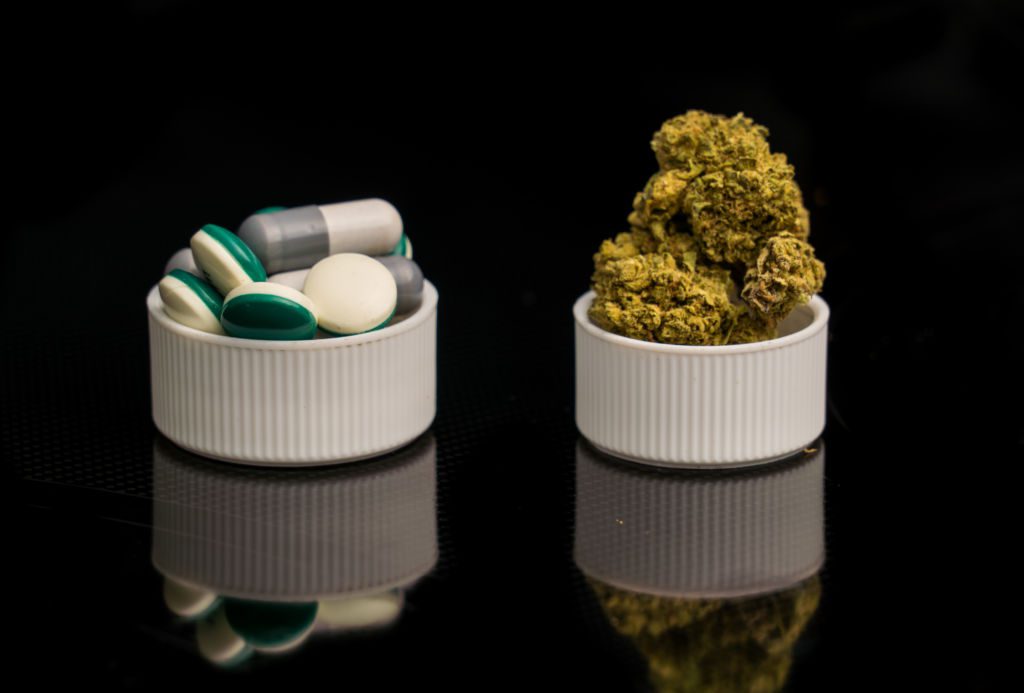Deadly,Drug,Big,Pharmaceutical,Companies,Versus,Medical,Marijuana,Legalization.,Two