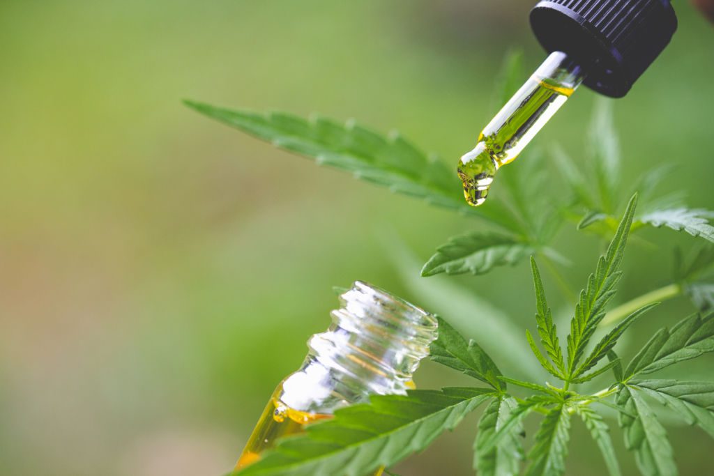 does cbd help with inflammation in the body