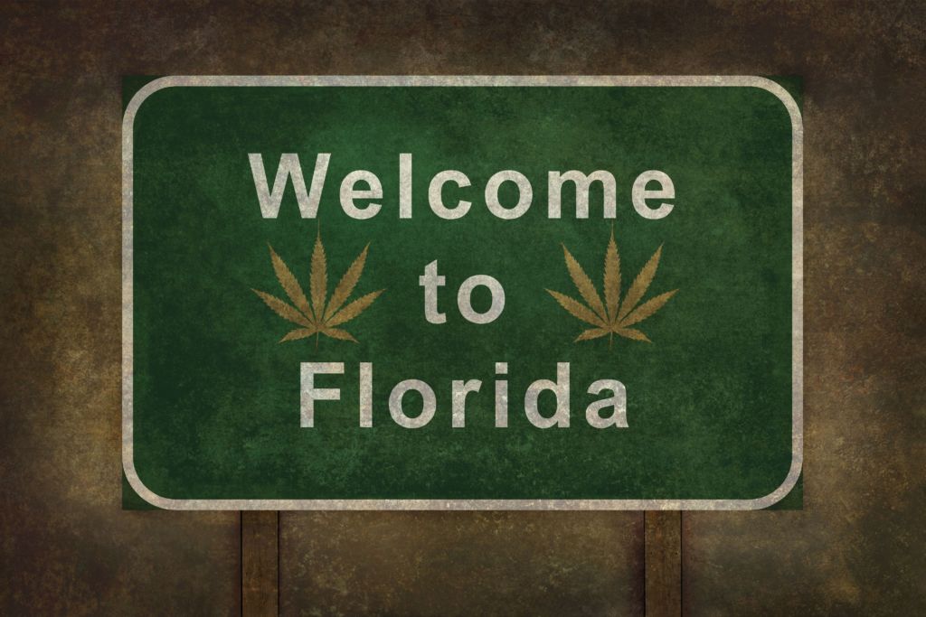 florida medical marijuanas card renewal