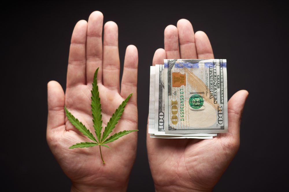 how much to renew my medical marijuana card in New York