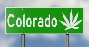 medical marijuanas card renewal in Colorado