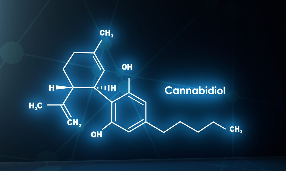 Does CBD oil affect metabolism?