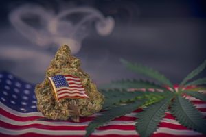 how to qualify for marijuana medication for veterans?