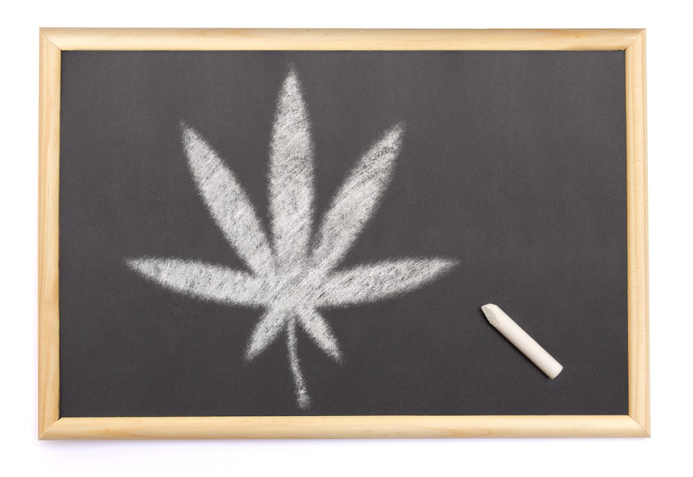 What degrees can I get in colleges and universities for a career in marijuana?